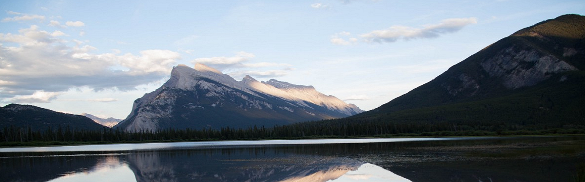 搜索本站精品资源